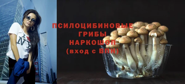 мдпв Богородск