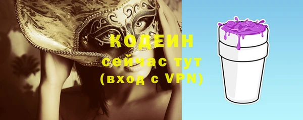 мдпв Богородск