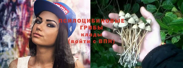 a pvp Бронницы